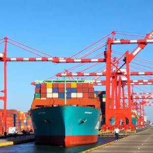 Container ships and cranes at the Georgia Ports Authority