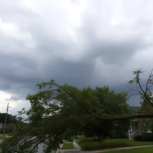 Storm clouds and fallen tree branches in Augusta, Georgia