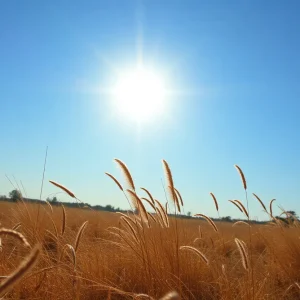 Hot summer day in Georgia with clear skies and dry landscape