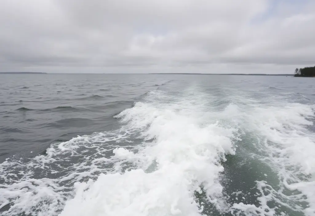 Rough waves on a lake in Augusta, Georgia during a wind advisory.