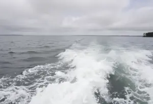 Rough waves on a lake in Augusta, Georgia during a wind advisory.